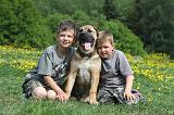 ENFANT ET CHIEN 194